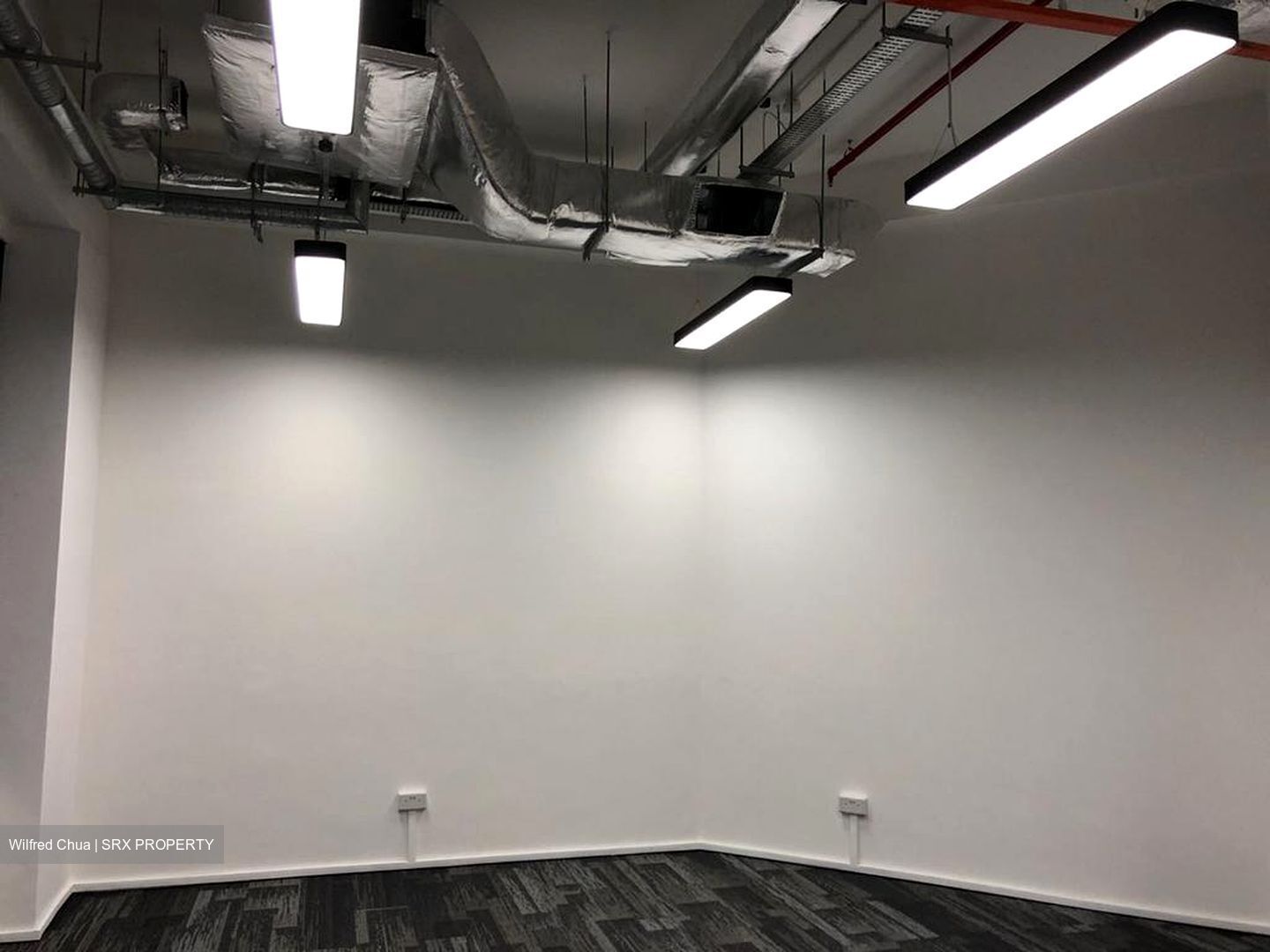 PLUS (D1), Office #566772761